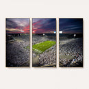 Penn State Nittany Lions Football Team Print - University