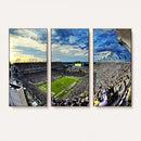 Framed USF Bulls Football Team Print - Tampa Raymond James