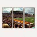 Central Michigan University Chippewas Football Team Print -