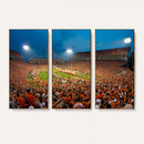 Clemson University Tigers Football Team Print - Clemson
