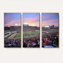 Indiana University Hoosiers Football Team Print -