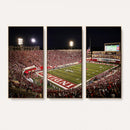 Indiana University Hoosiers Football Team Print Canvas -