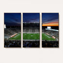 Michigan State Spartans Football Team Print - East Lansing