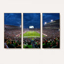 Michigan State Spartans Football Team Print - East Lansing