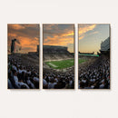 Michigan State Spartans Football Team Print - East Lansing