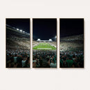 Framed Michigan State Spartans Football Team Print - East