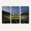 Michigan State Spartans Football Team Print - East Lansing