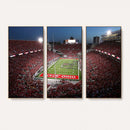 Ohio State University Buckeyes Football Team Print -