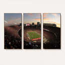 Ohio State University Buckeyes Football Team Print -