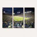 University of Oregon Ducks Football Team Print - Eugene