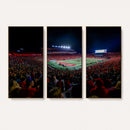 Rutgers Scarlet Knights Football Team Print - SHI Stadium,