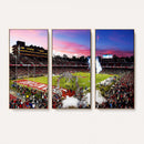 Stanford University Cardinal Football Team Print - Stanford