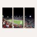 Stanford University Cardinal Football Team Print - Stanford