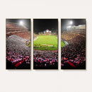 University of Maryland Terrapins Football Team Print -