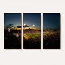 Ball State Cardinals Football Team Print - Muncie Scheumann