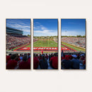 Ball State Cardinals Football Team Print - Muncie Scheumann