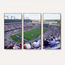 The Texas Christian University TCU Horned Frogs Football