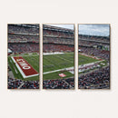 The Temple University Owls Athletics Team Print -