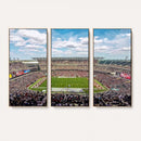 The Temple University Owls Athletics Team Print -