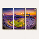 The Louisiana State University Tigers Football Team Print -