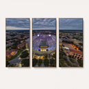The Louisiana State University Tigers Football Team Print -