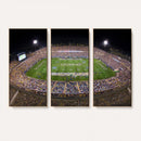 The University of Connecticut UCONN Huskies Football Team