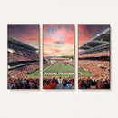 Oregon State Beavers Football Team Print - Corvallis Reser