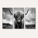 Scottish Cow Wall Art Canvas Print | Longhorn Wall Art |
