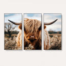 Scottish Cow Longhorn Wall Art Canvas Print