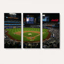 Los Angeles Dodgers Baseball Team Print - California Dodger