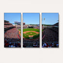 Cincinnati Reds Baseball Canvas Print - American Ball