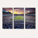 Kroger Field Wall Art Print - Kentucky Stadium Wall Art