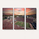 Indiana Memorial Stadium Wall Art Canvas Print, Framed
