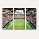 Chicago Bears Soldiers Field Wall Art Canvas Print – Framed