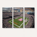 Chicago Bears Soldiers Field Wall Art Canvas Print – Framed