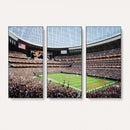 Chicago Bears Soldiers Field Wall Art Canvas Print – Framed