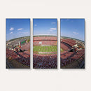 William Brice Stadium Wall Art Canvas Print – Stadium Crowd