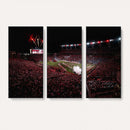 William Brice Stadium Wall Art Print – Baseball Game Room