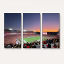 Dooley Stadium Wall Art, Sports Arena Canvas Print, Dooley