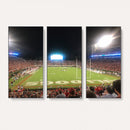 Dooley Stadium Wall Art, Sports Arena Panoramic Canvas