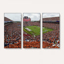 Jordan-Hare Stadium Wall Art Canvas Print, College Sports