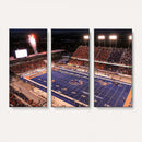 Boise State Stadium Large Wall Art Canvas Print for Living