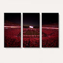 Sanford Stadium Wall Art Canvas Print – Georgia Bulldogs