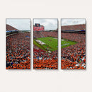 Auburn Stadium Wall Art Canvas Print, Jordan Hare Stadium