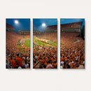 Clemson Tigers Memorial Stadium Wall Art Canvas Print