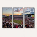 Donald W. Reynolds Razorback Stadium Wall Art Canvas Print –