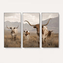 Rustic Texas Longhorn Cow Canvas Wall Art Print, Rustic Farm Animal Photography Print, Farmhouse Country Decor, Western Ranch Art