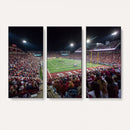 Washington-Grizzly Stadium Canvas Print, American Football