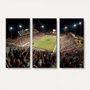 Washington-Grizzly Stadium Canvas Wall Art – Exciting Game