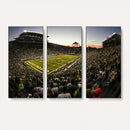 Oregon Stadium Canvas Wall Art - Captivating Game Day Scene